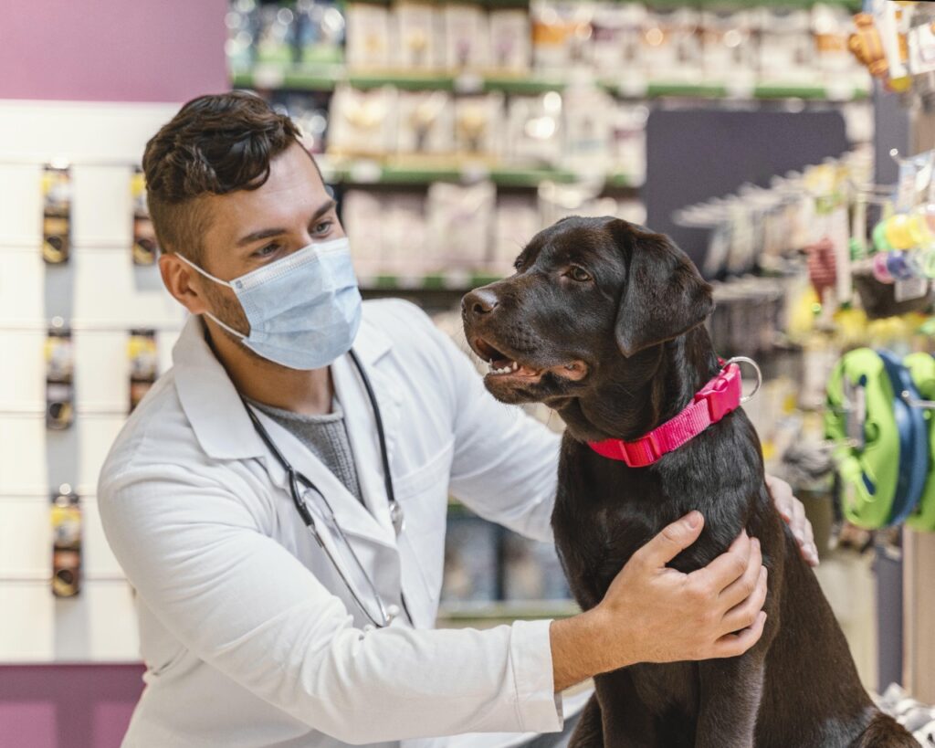 empreender na medicina veterinaria