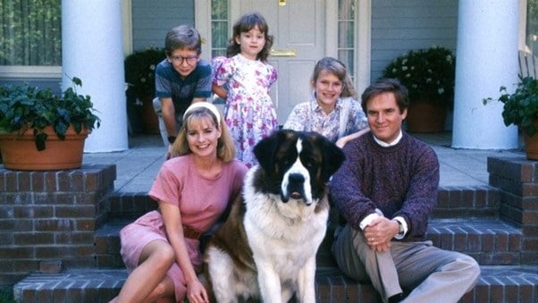 Filmes para quem quer cursar medicina veterinária.
