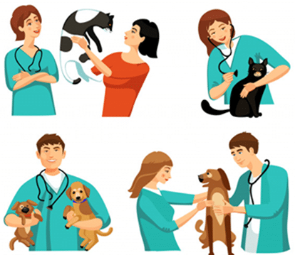 Fillmes com animais e veterinários
