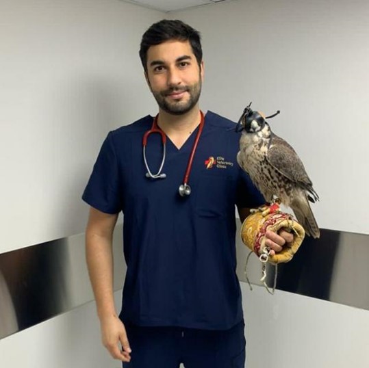 Octávio Lisboa medico veterinario